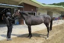 �׷������� (GRAY PHANTOM) ����