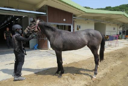 �׷������� ����