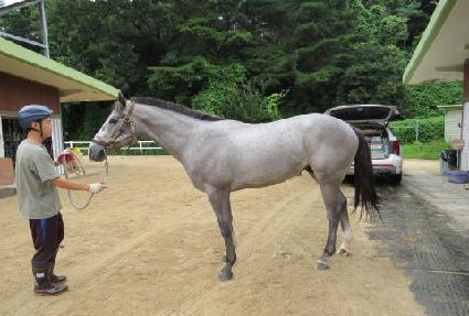 �������� ����