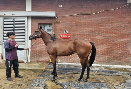 �������� ����