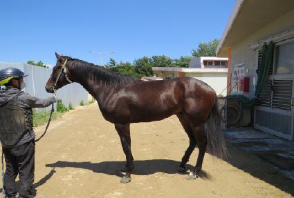 �ż���ȣ ����