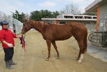 ��Ŭ�������� (ECLIPSE MARVEL) ����