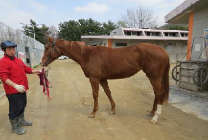 ��Ŭ�������� ����