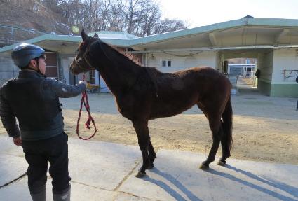 ��ǳ�Ҹ� ����