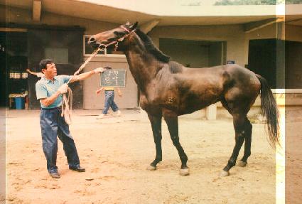 ��� ����