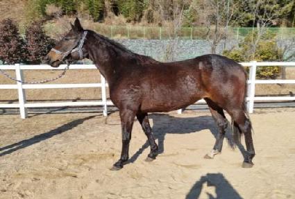 ȣ������ ����