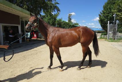 �ε������ ����