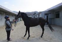 �ż����� (GEOSEN YEOJE) ����