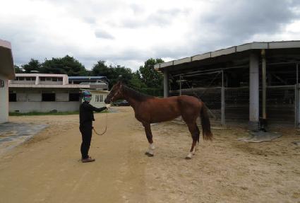 ����Ʈ�� ����