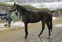 �����ѿ��� (CHALLANHANYEONGUNG) ����