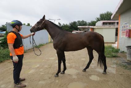 ������� ����