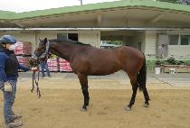 EUNPA HAENGBOK picture