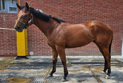 ���̽����� ����