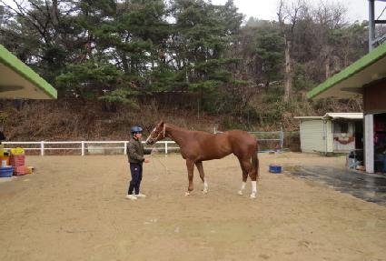 �̶�Ŭ�轺 ����