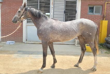 �����ǲ� ����