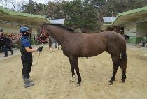 ���� (LALA GIRL) ����