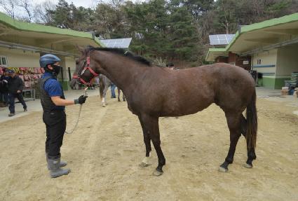 ���� ����