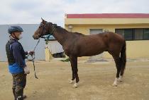 ��Ŭ������Ű (ECLIPSE LUCKY) ����