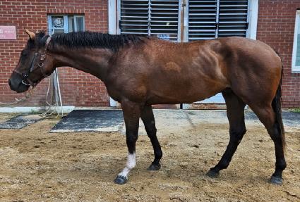 ����ī�̿�Ŀ ����