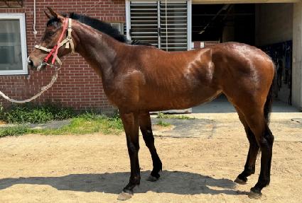 ��ŰŸ�� ����