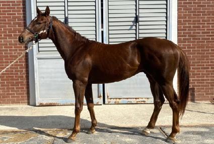 �긮������ ����