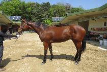 �÷��̽����� (PLAY STAY) ����