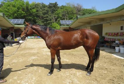 �÷��̽����� ����