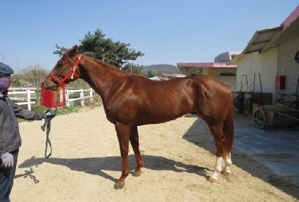 ŷ����巡�� ����