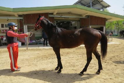 ���ϵ����� ����