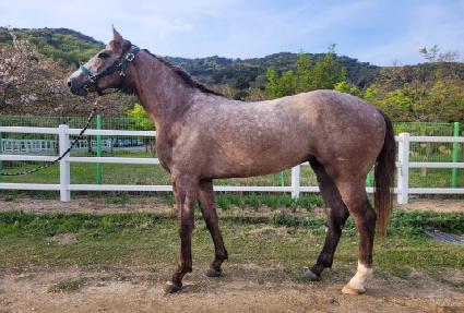 �����򷹵� ����