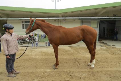 ���ǻ�۷ι� ����