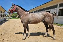 ��Ÿ�ӷ����� (ALL TIME LEGEND) ����