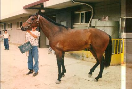 ���μ� ����