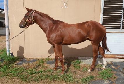 ������� ����