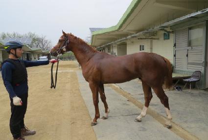 �����̸ӽ� ����