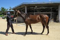 �Ǽ��̼��� (TTOSUNI SEOUL) ����