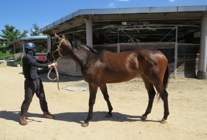 �Ǽ��̼��� ����