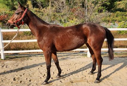 ä���Ķ� ����