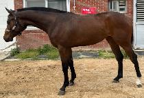 ������Ʈ (SUN LIGHT) ����