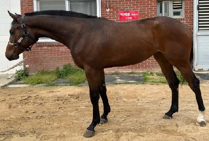 ������Ʈ ����