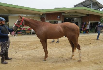 �Ƹ𽺺��� ����