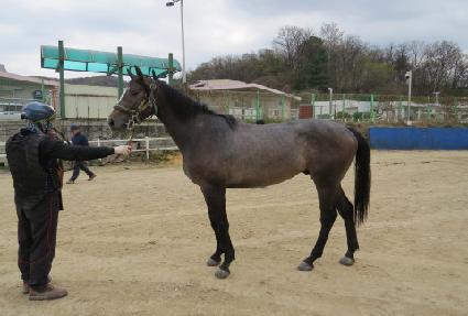 �������� ����