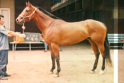 ������ ����