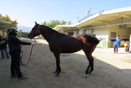 �������� ����