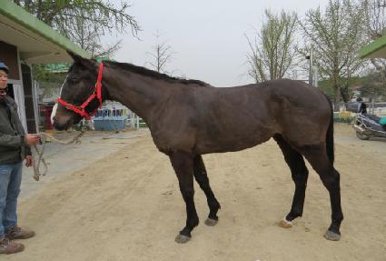 ��������� ����