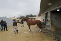 �շ����� (LONG RUN BULPAE) ����