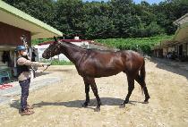 ũ���������� (CRAZY MANGO) ����