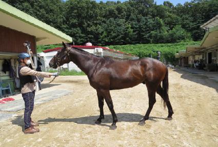 ũ���������� ����