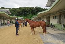 �����ڰ��� (BEOLGYO BAKGANGGUL) ����