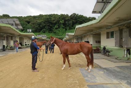 �����ڰ��� ����